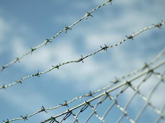 adana dikenli tel fiyatları, osmaniye dikenli tel fiyatları, hatay dikenli tel fiyatları, mersin dikenli tel fiyatları, niğde dikenli tel fiyatları, kayseri dikenli tel fiyatları, gaziantep dikenli tel fiyatları