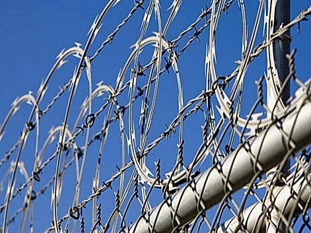 adana dikenli tel fiyatları, osmaniye dikenli tel fiyatları, hatay dikenli tel fiyatları, mersin dikenli tel fiyatları, niğde dikenli tel fiyatları, kayseri dikenli tel fiyatları, gaziantep dikenli tel fiyatları