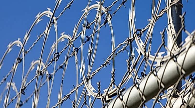 adana dikenli tel fiyatları, osmaniye dikenli tel fiyatları, hatay dikenli tel fiyatları, mersin dikenli tel fiyatları, niğde dikenli tel fiyatları, kayseri dikenli tel fiyatları, gaziantep dikenli tel fiyatları